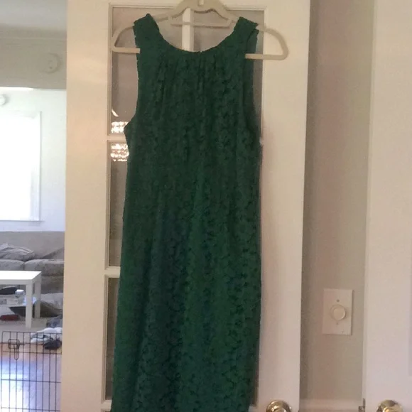 green emerald velvet dress Trina Turk Women's High Rise Rico Skirt